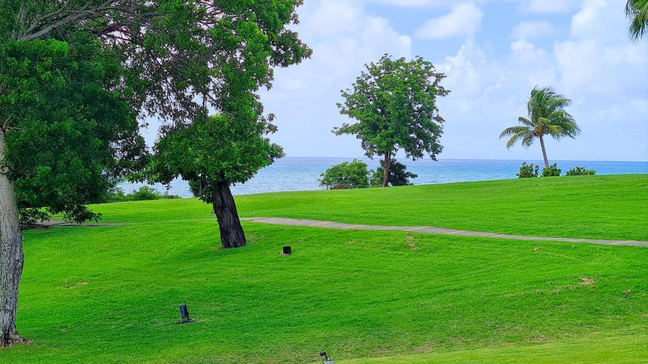 Studio Charme Creole Acces Plage سانت لوسي المظهر الخارجي الصورة